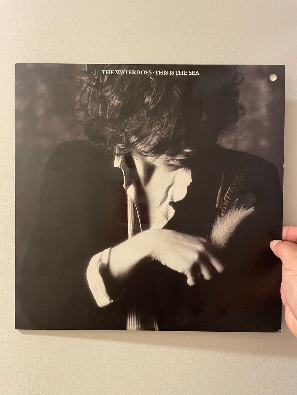 The Waterboys - This Is The Sea LP vintage vinyl record rock
